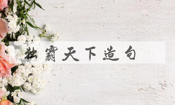 用独霸天下造句