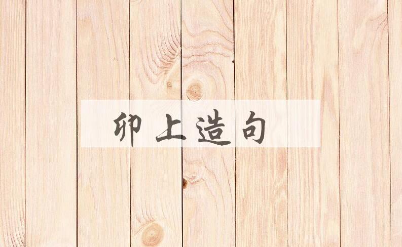 用卯上造句