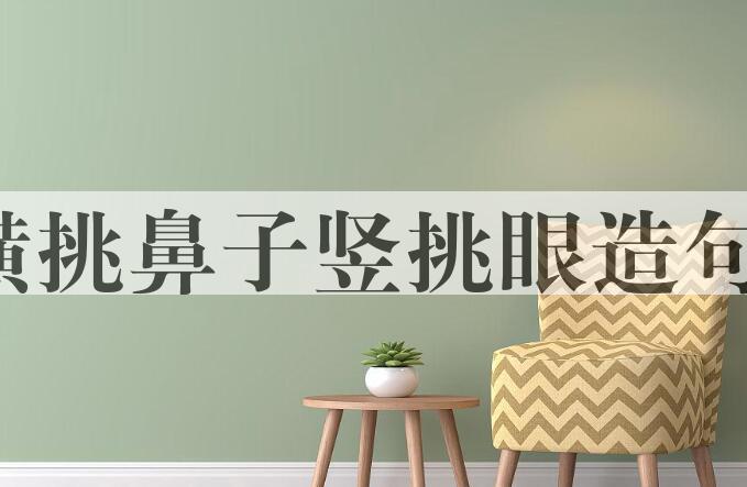 用横挑鼻子竖挑眼造句