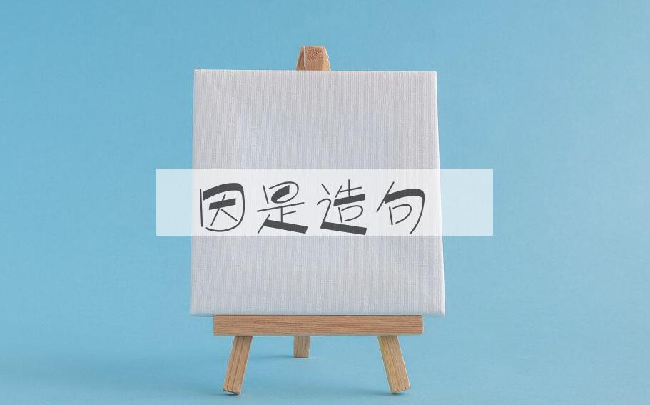用因是造句