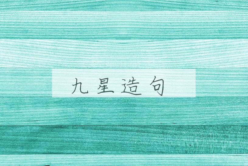 用九星造句
