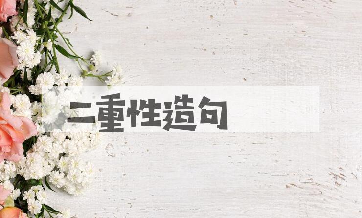用二重性造句