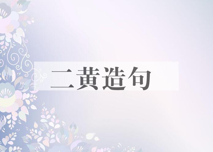 用二黄造句