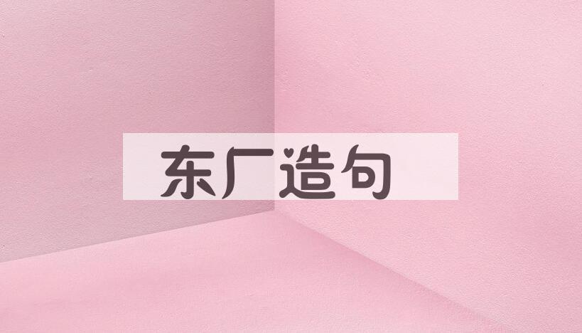 用东厂造句