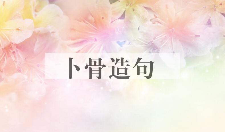 用卜骨造句