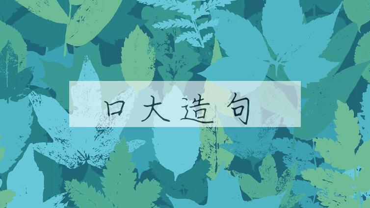 用口大造句