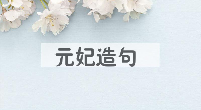 用元妃造句