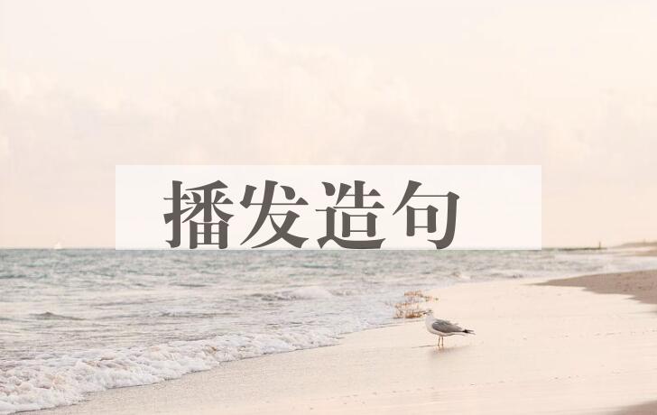 用播发造句
