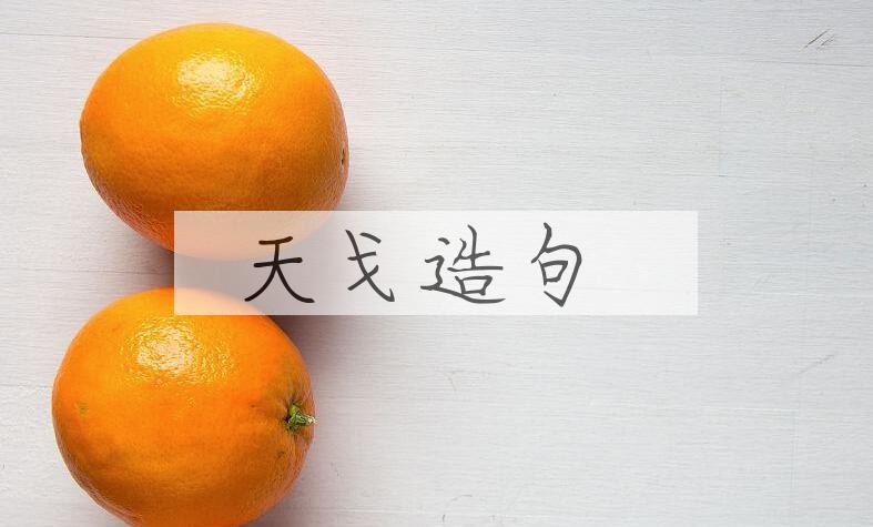 用天戈造句