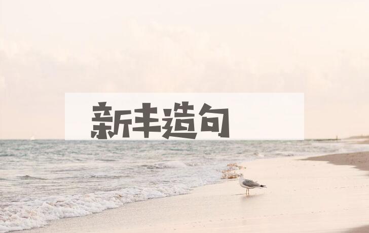 用新丰造句