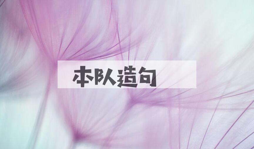 用本队造句