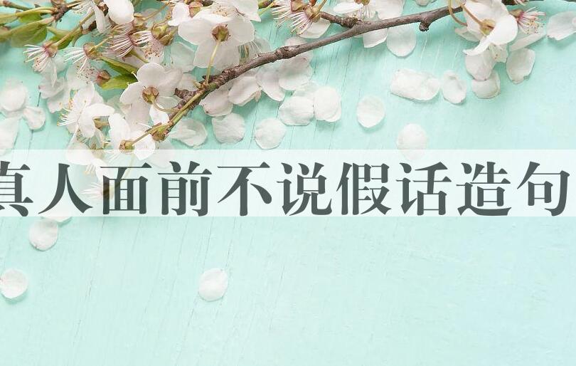 用真人面前不说假话造句