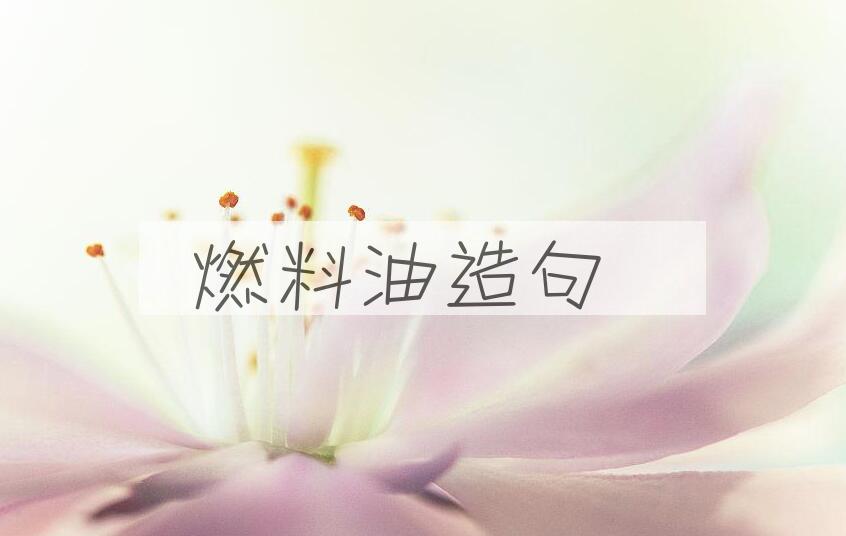 用燃料油造句