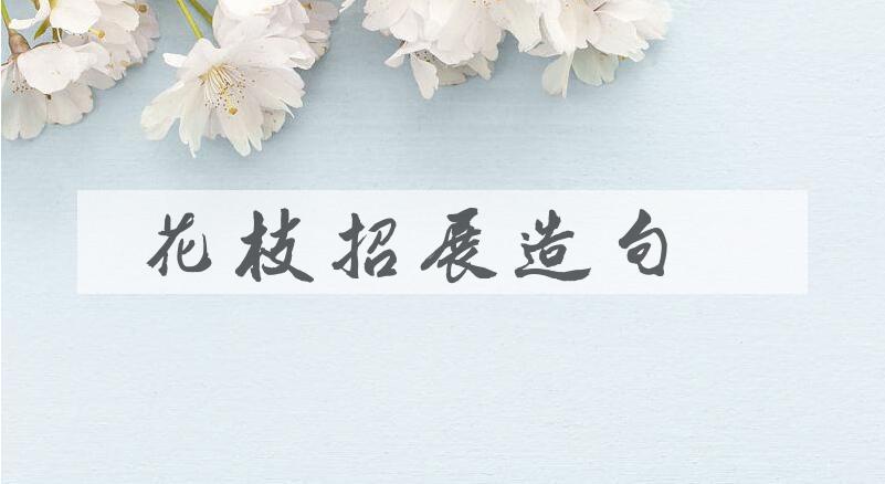 用花枝招展造句