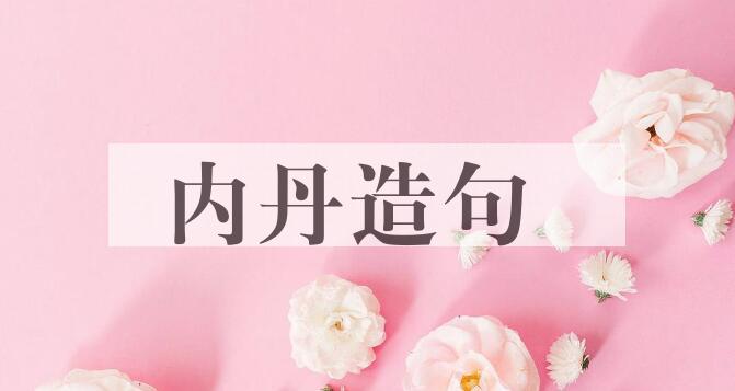 用内丹造句