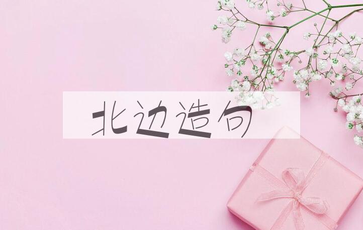 用北边造句