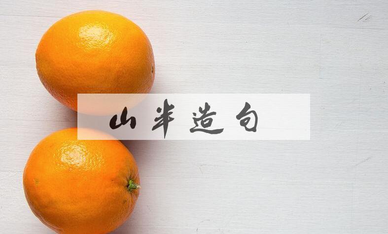用山半造句