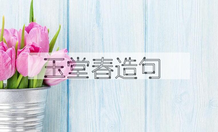 用玉堂春造句
