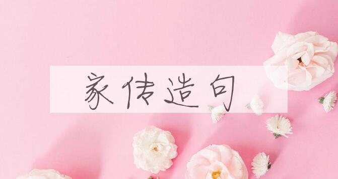 用家传造句