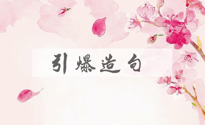用引爆造句