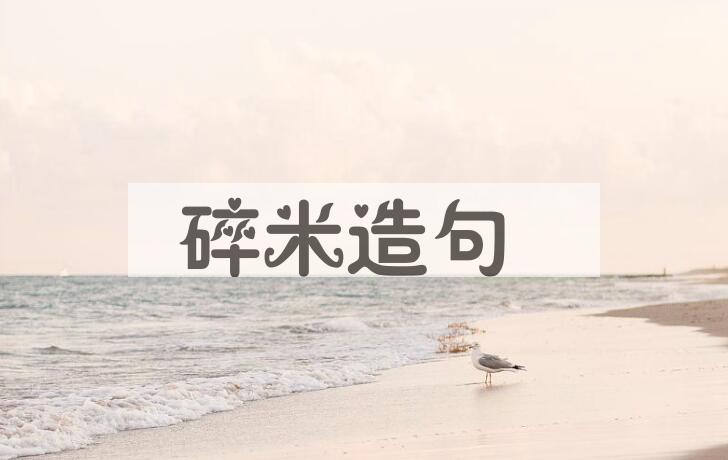 用碎米造句