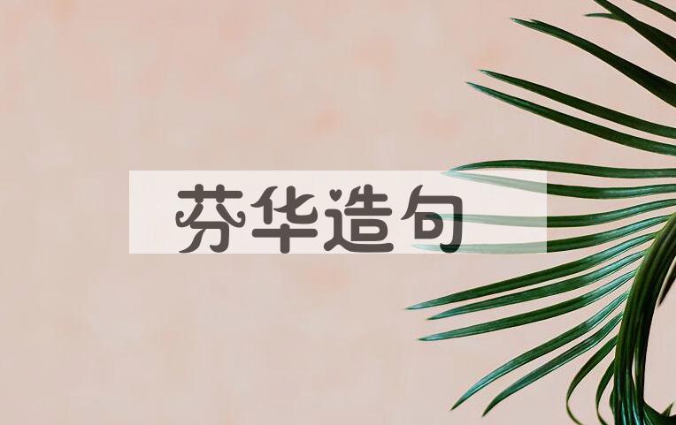 用芬华造句