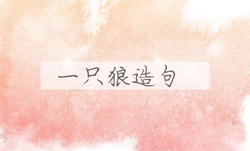 用一只狼造句