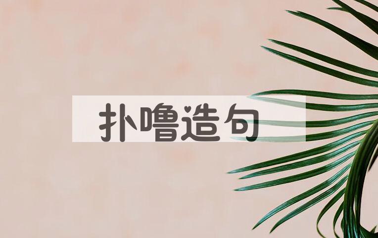 用扑噜造句
