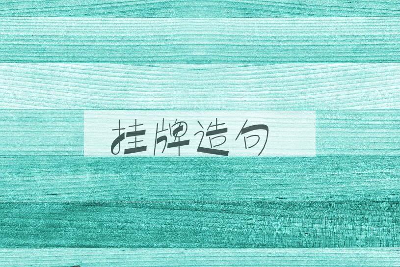 用挂牌造句