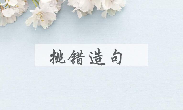 用挑错造句