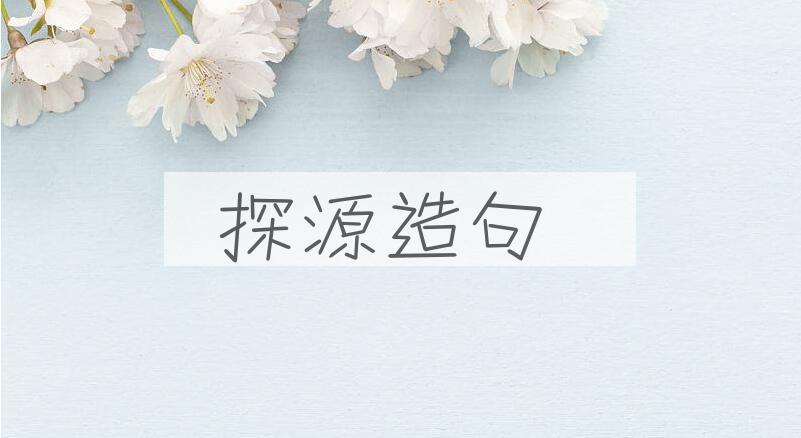 用探源造句