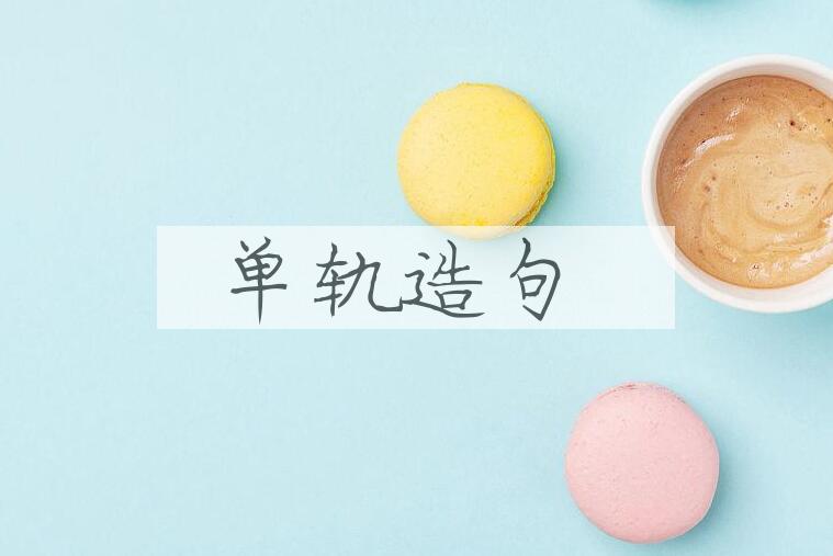 用单轨造句
