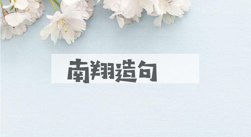 用南翔造句