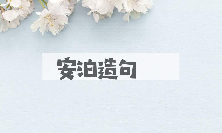 用安泊造句