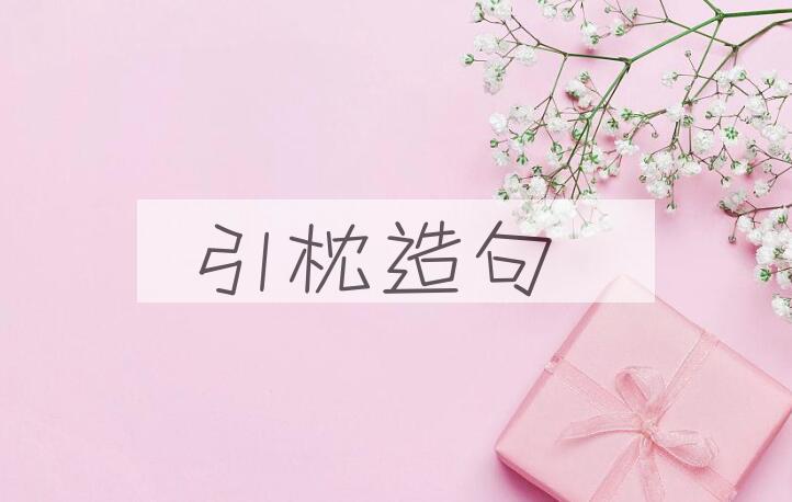 用引枕造句