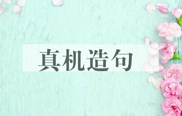 用真机造句