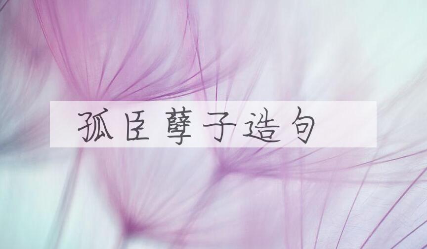 用孤臣孽子造句