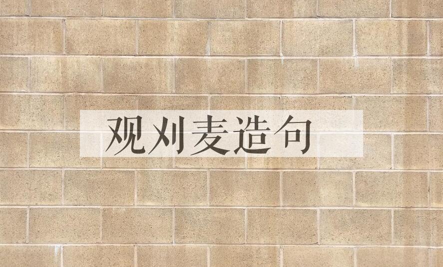 用观刈麦造句