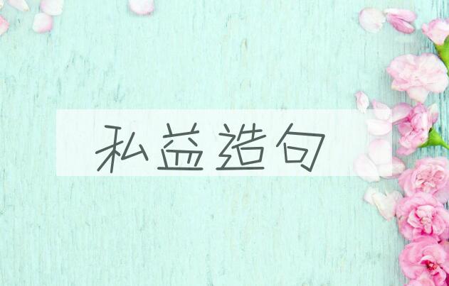 用私益造句