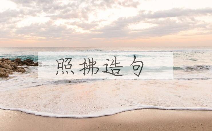 用照拂造句