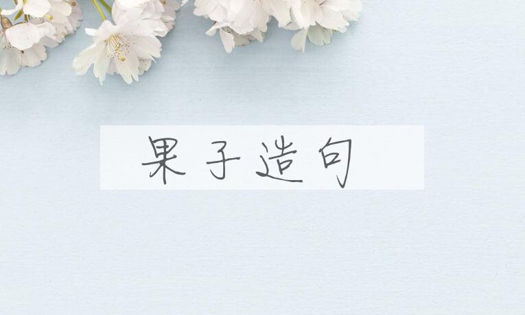 用果子造句