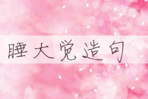用睡大觉造句