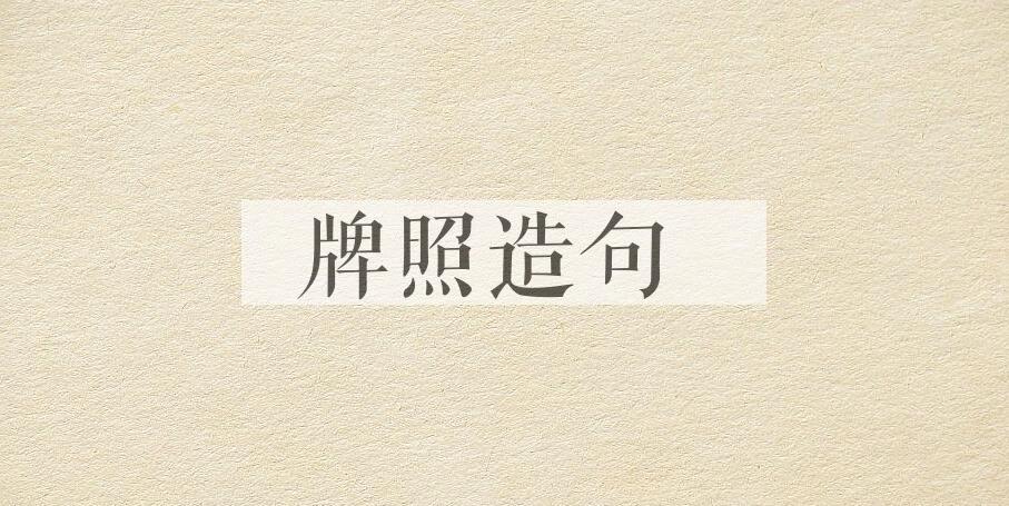 用牌照造句
