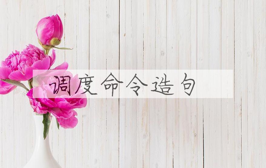 用调度命令造句