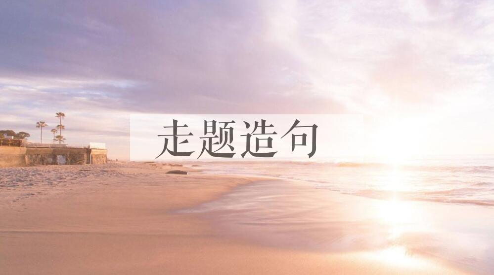 用走题造句