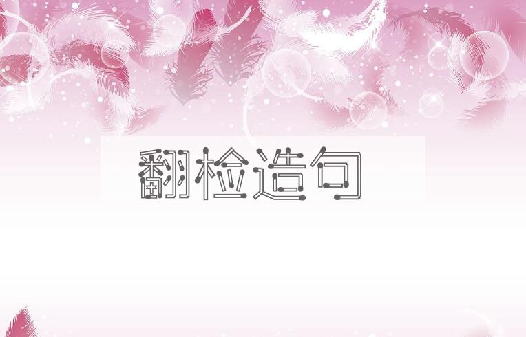 用翻检造句