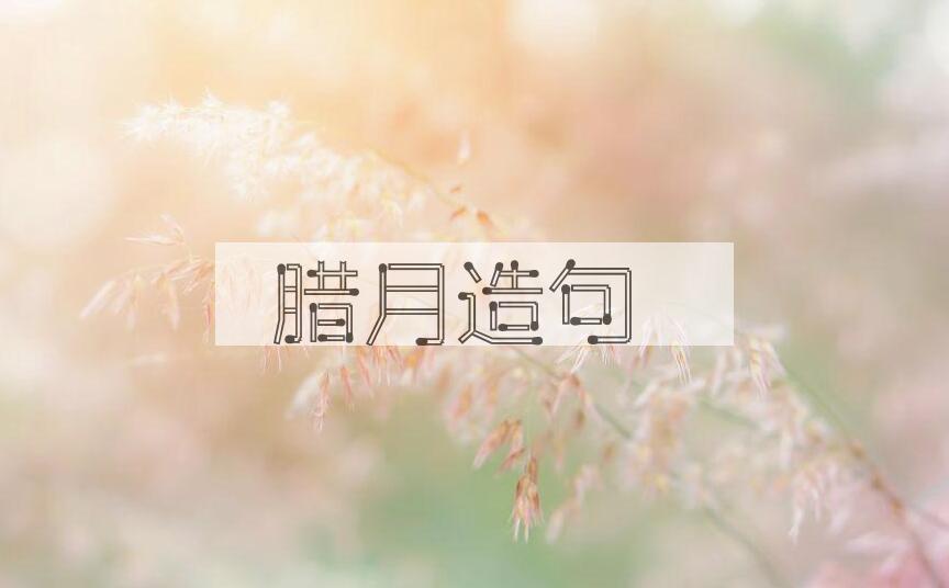 用腊月造句