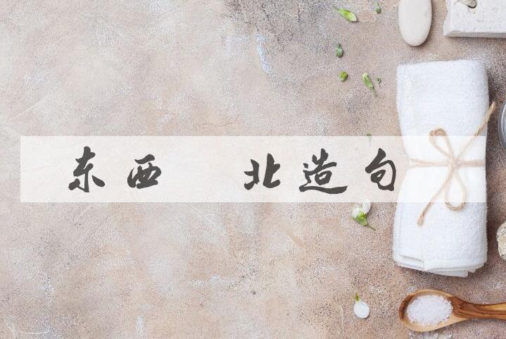 用东西南北造句