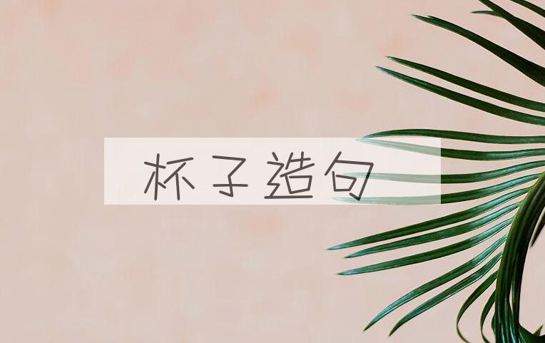 用杯子造句