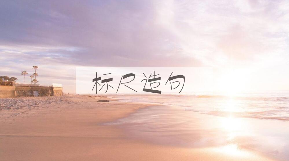 用标尺造句